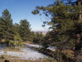 denver view from back pasture.jpg